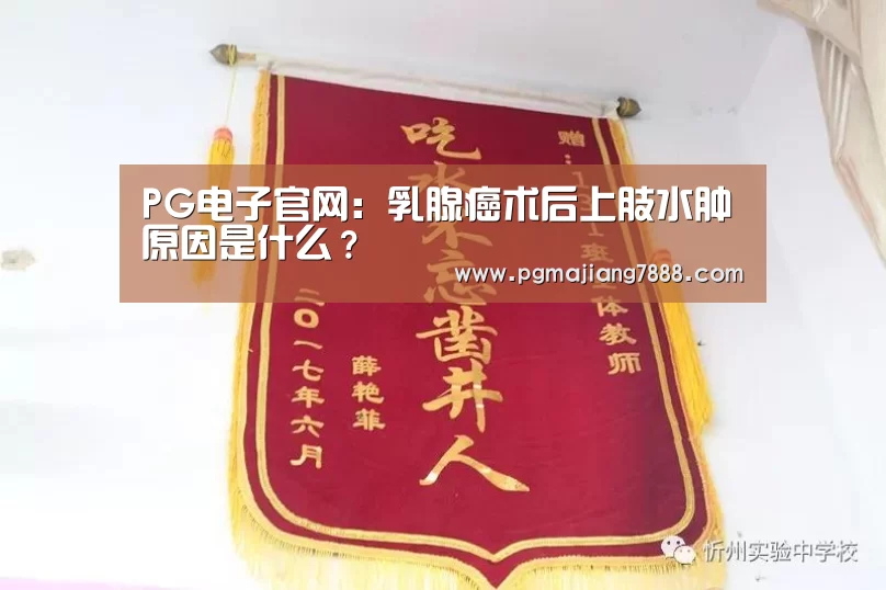 PG麻将APP下载