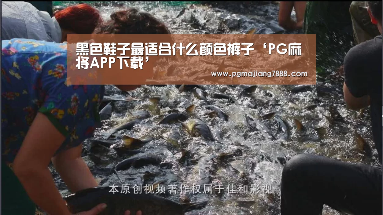 PG电子官网