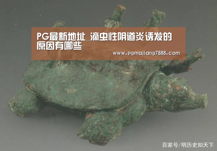 PG最新地址_滴虫性阴道炎诱发的原因有哪些(图2) PG麻将娱乐
